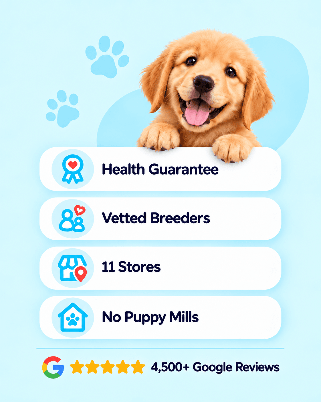 Health Guarantee, Vetted Breeders, 11 Stores, No Puppy Mills, and 4,500+ Google Reviews.