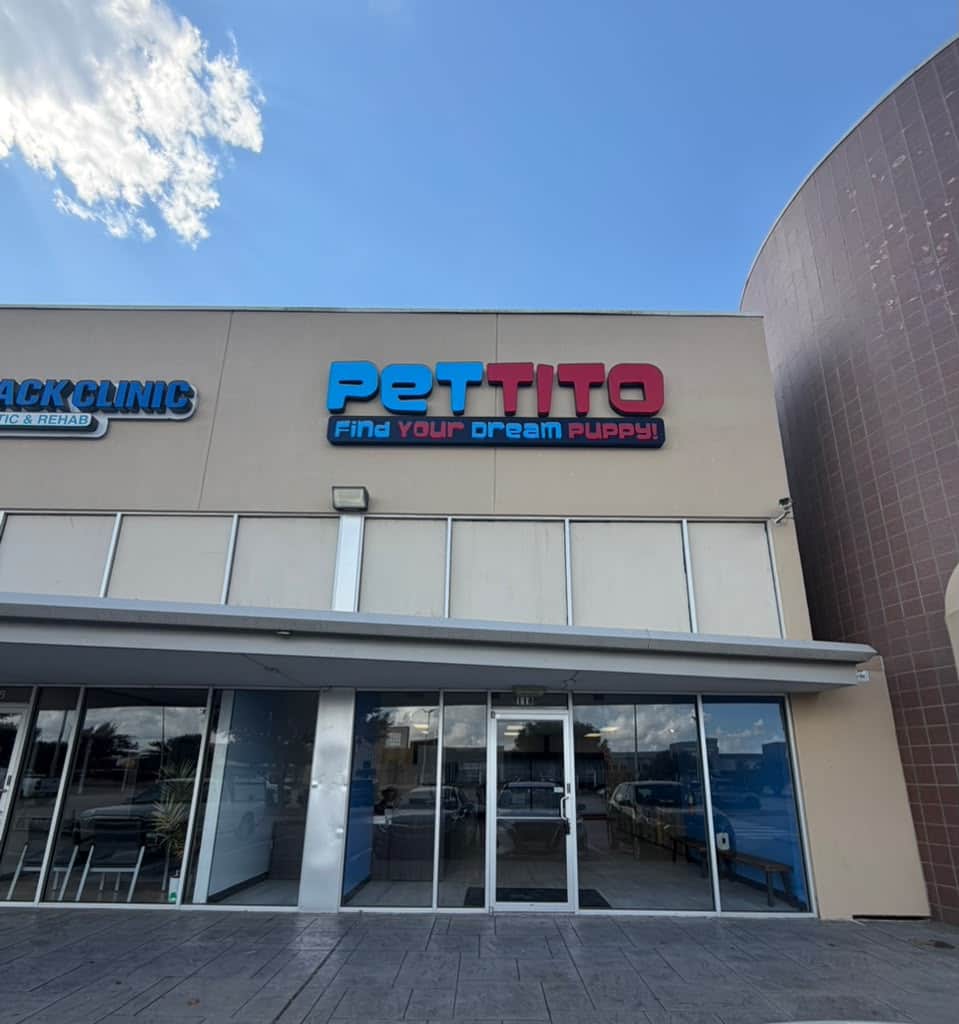 Pettito Katy storefront